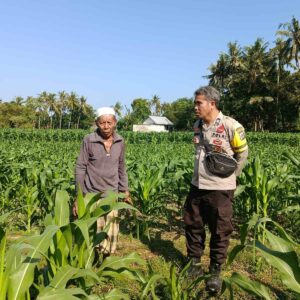 Bhabinkamtibmas Sandik Ajak Warga Perempung Manfaatkan Lahan untuk Swasembada Pangan