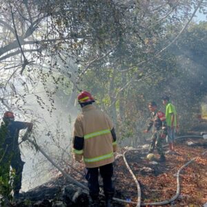 Babinsa Malaka Sigap Dampingi Warga Atasi Kebakaran Lahan