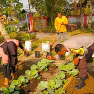 Jaga Ketahanan Pangan, Bhabinkamtibmas Kuripan Gelar Sosialisasi Pemanfaatan Lahan Produktif