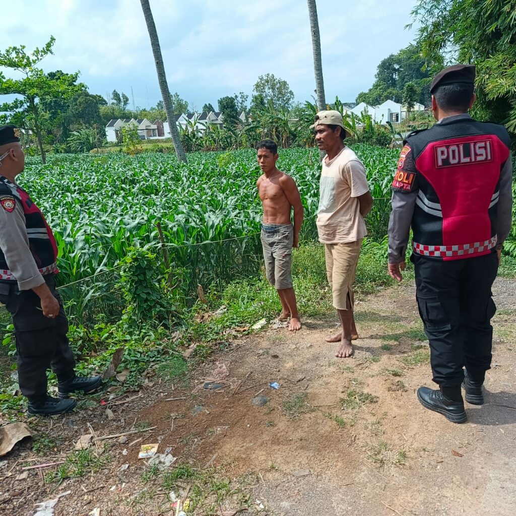 Patroli Ketahanan Pangan di Kecamatan Gerung: Dukungan Polri untuk Petani Jagung
