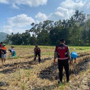 Sat Samapta Polres Lombok Barat Dukung Petani Jagung Desa Kebon Ayu