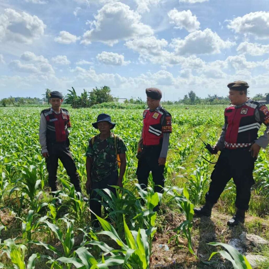 Polres Lombok Barat Dukung Petani Jagung di Desa Dasan Geres