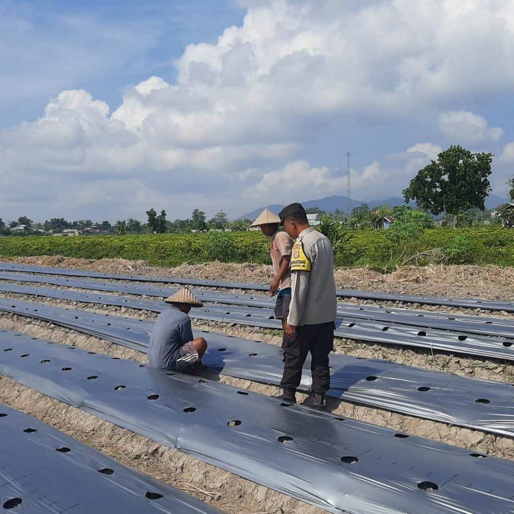 Polsek Kediri Dorong Warga Montong Are Tanam Cabai untuk Ketahanan Pangan