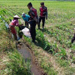 Sat Samapta Polres Lombok Barat Dukung Petani Jagung di Kuripan