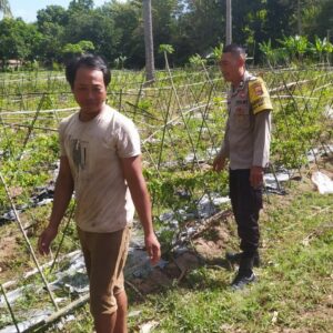 Bhabinkamtibmas Batu Putih Dorong Petani Sekotong Optimalkan Lahan Produktif