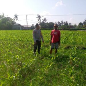 Bhabinkamtibmas Desa Jagaraga Dorong Pemanfaatan Lahan Produktif untuk Ketahanan Pangan