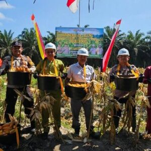 Polres Indragiri Hulu Gelar Panen Raya Jagung Dukung Program Ketahanan Pangan