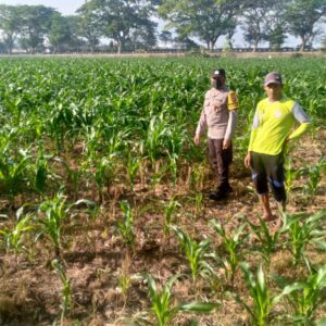 Bhabinkamtibmas Jagaraga Ajak Petani Dusun Adeng Optimalkan Lahan untuk Ketahanan Pangan