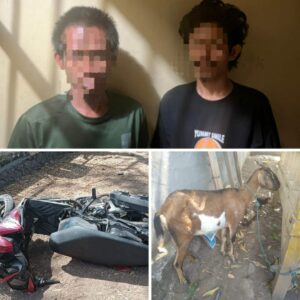 Kapolsek Soromandi Pimpin Penangkapan 2 dari 3 Sindikat Spesialis Pencurian Hewan Ternak