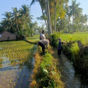Bhabinkamtibmas Desa Jelantik Ajak Warga Gotong Royong Saluran Irigasi dan Jaga Kamtibmas