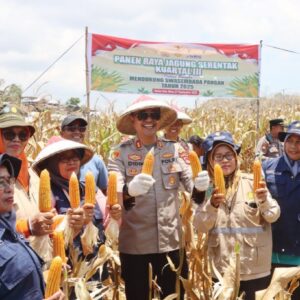 Polres Bima Kota Gelar Panen Raya Jagung Serentak Kuartal III di Desa Pesa, Wawo