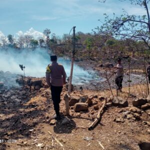 Respon Cepat Polsek Asakota, Personel Datangi Lokasi Kebakaran Lahan Jagung di Kelurahan Kolo