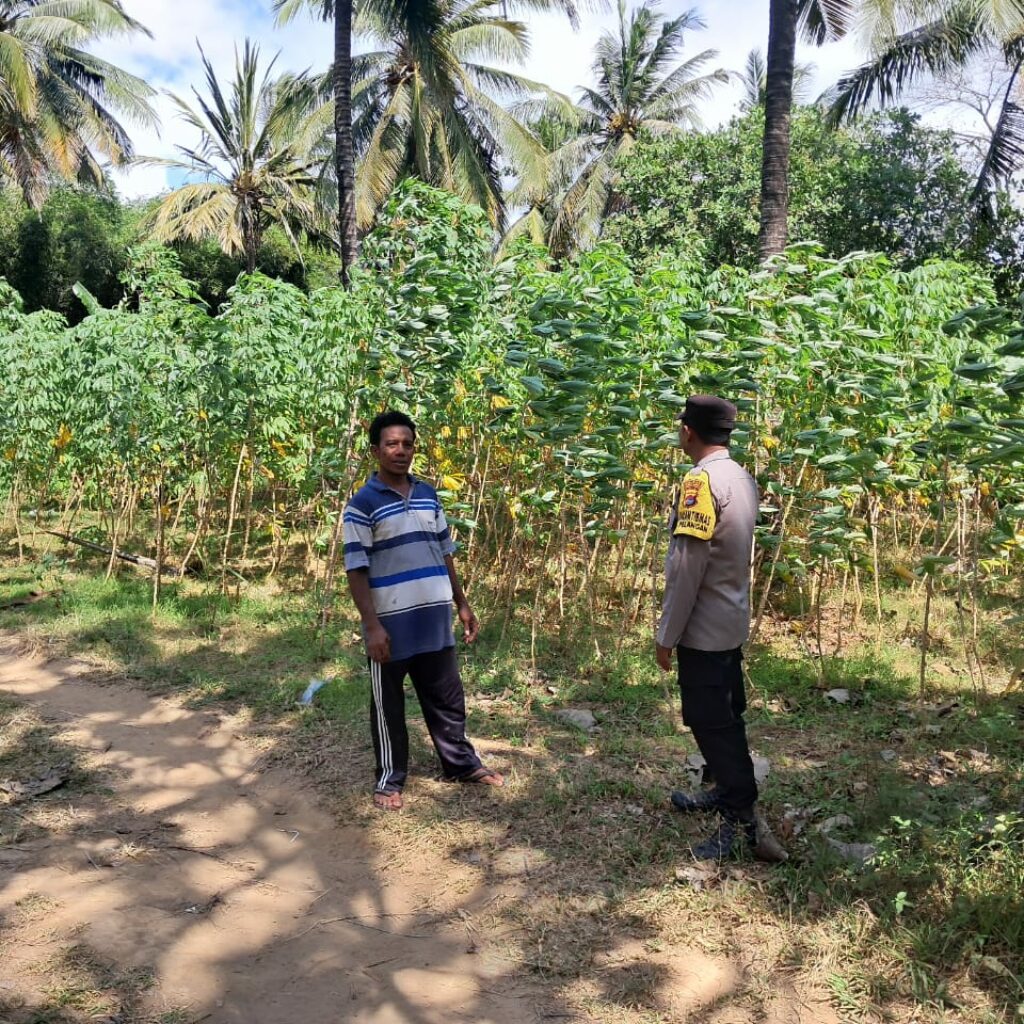 Polsek Sekotong Ajak Warga Desa Pelangan Wujudkan Pekarangan Pangan Bergizi