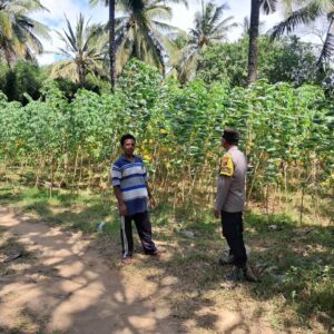 Polsek Sekotong Ajak Warga Desa Pelangan Wujudkan Pekarangan Pangan Bergizi