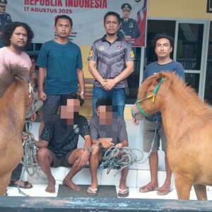 Misteri Hilangnya Sepasang Kuda Terungkap, Dua Pria Pencurinya Sukses Dibekuk Tim Opsnal Polsek Rastim