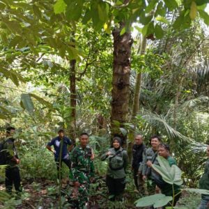 Sinergi Babinsa dan Polhut Amankan Kawasan Hutan Pusuk