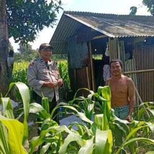 Bhabinkamtibmas Labuapi Ajak Warga Lombok Barat Lakukan Swasembada Pangan di Pekarangan