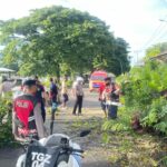 Polres Loteng Evakuasi Pohon Tumbang di Praya.