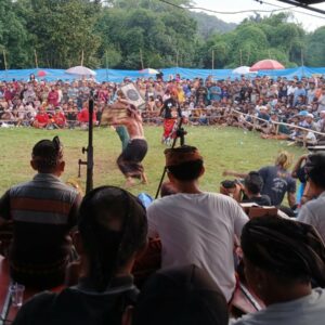 Lombok Barat: Final Peresean Tarung Pepadu Sukses Pukau Ratusan Penonton