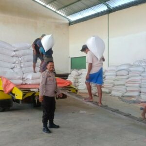 Jagung Petani Lombok Barat Lolos Uji Kualitas BULOG: Kadar Air Ideal