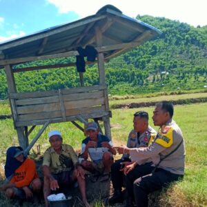 Bhabinkamtibmas Polres Bima Kota Laksanakan Jum’at Curhat, Sambangi Warga di Area Persawahan Penaraga